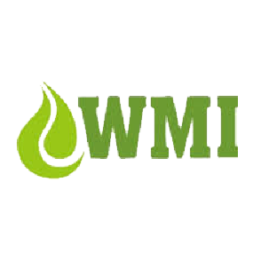 WMI