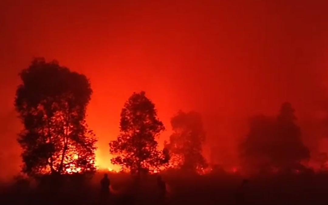 Menghirup Racun, Menanggung Duka: Ketika Asap Karhutla Membegal Paru-Paru dan Jiwa Kita